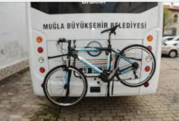 Municipality Buses